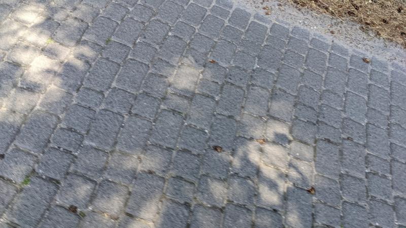 20220614_155849