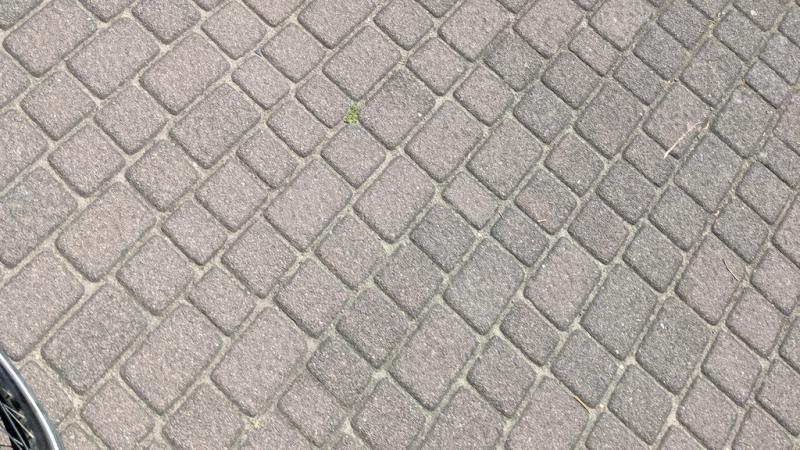 20220618_135653